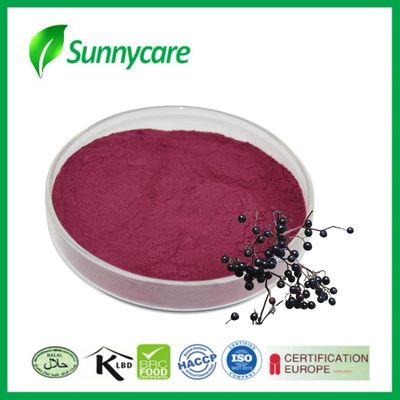 免疫力と活力のためにSambucus nigraからブラックエルダーベリー抽出粉